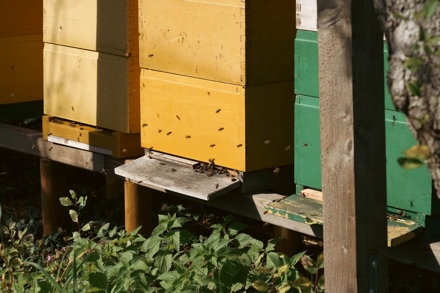 Woonzorglocatie Huis ter Weegen tuin