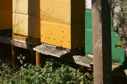 Woonzorglocatie Huis ter Weegen tuin