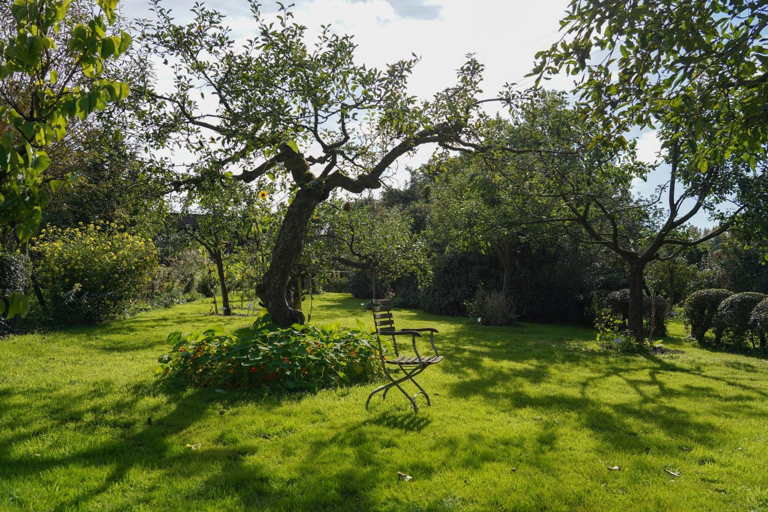 Woonzorglocatie Huis ter Weegen tuin