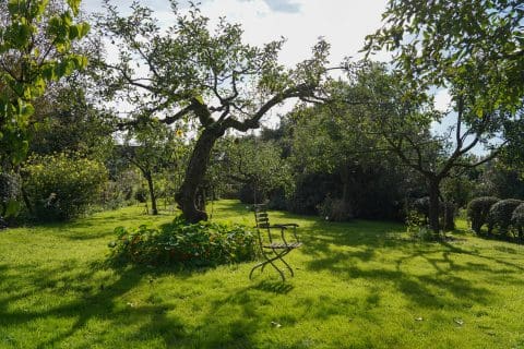 Woonzorglocatie Huis ter Weegen tuin