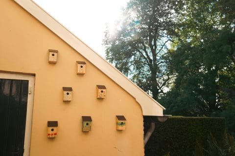 Woonzorglocatie Huis ter Weegen