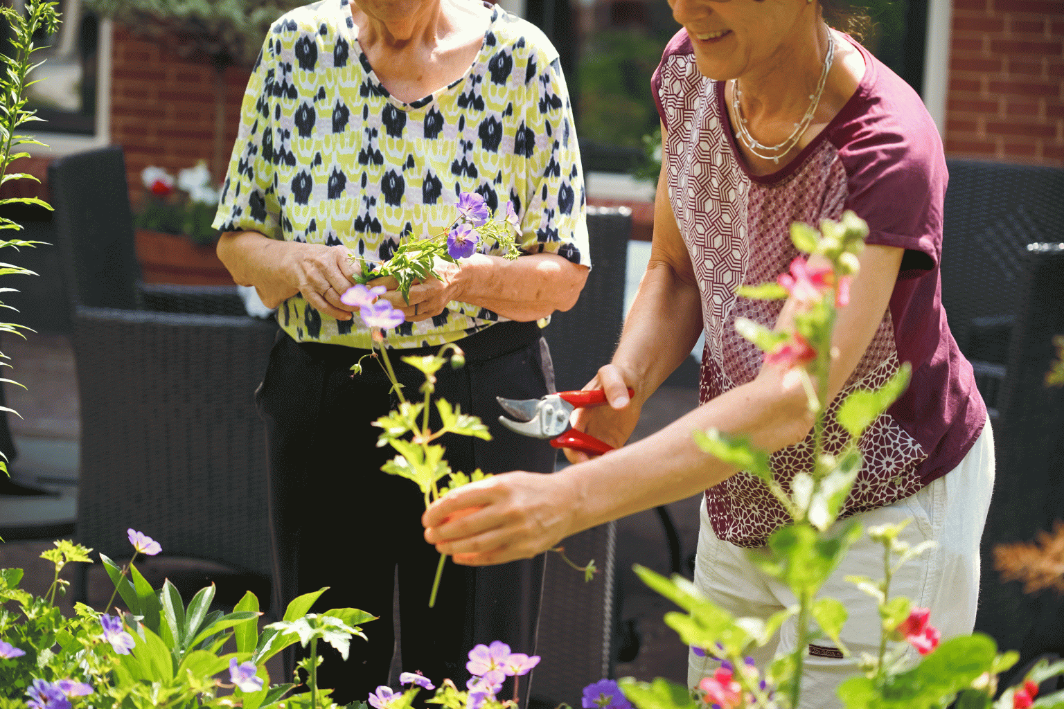 Koetshuys Erica tuin
