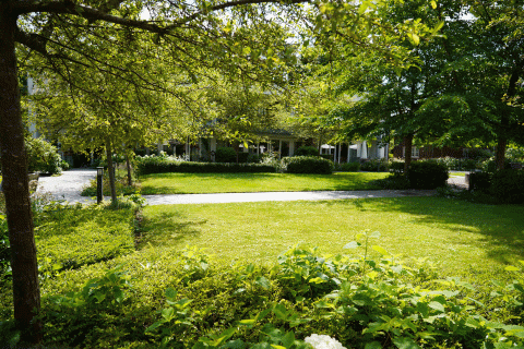 Binnentuin De Sterreschans