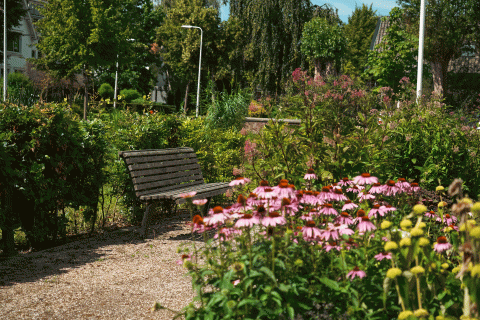 Wonen met zorg in Gouda
