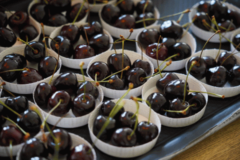 Wonen met zorg in Gouda