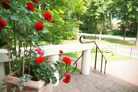 verzorgingshuis Warnsveld