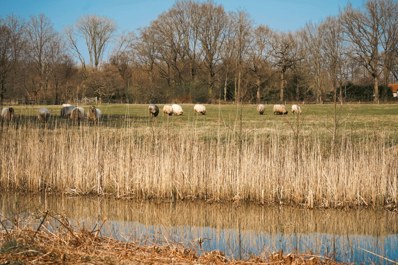 Woonzorglocatie de Wulperhorst sfeer