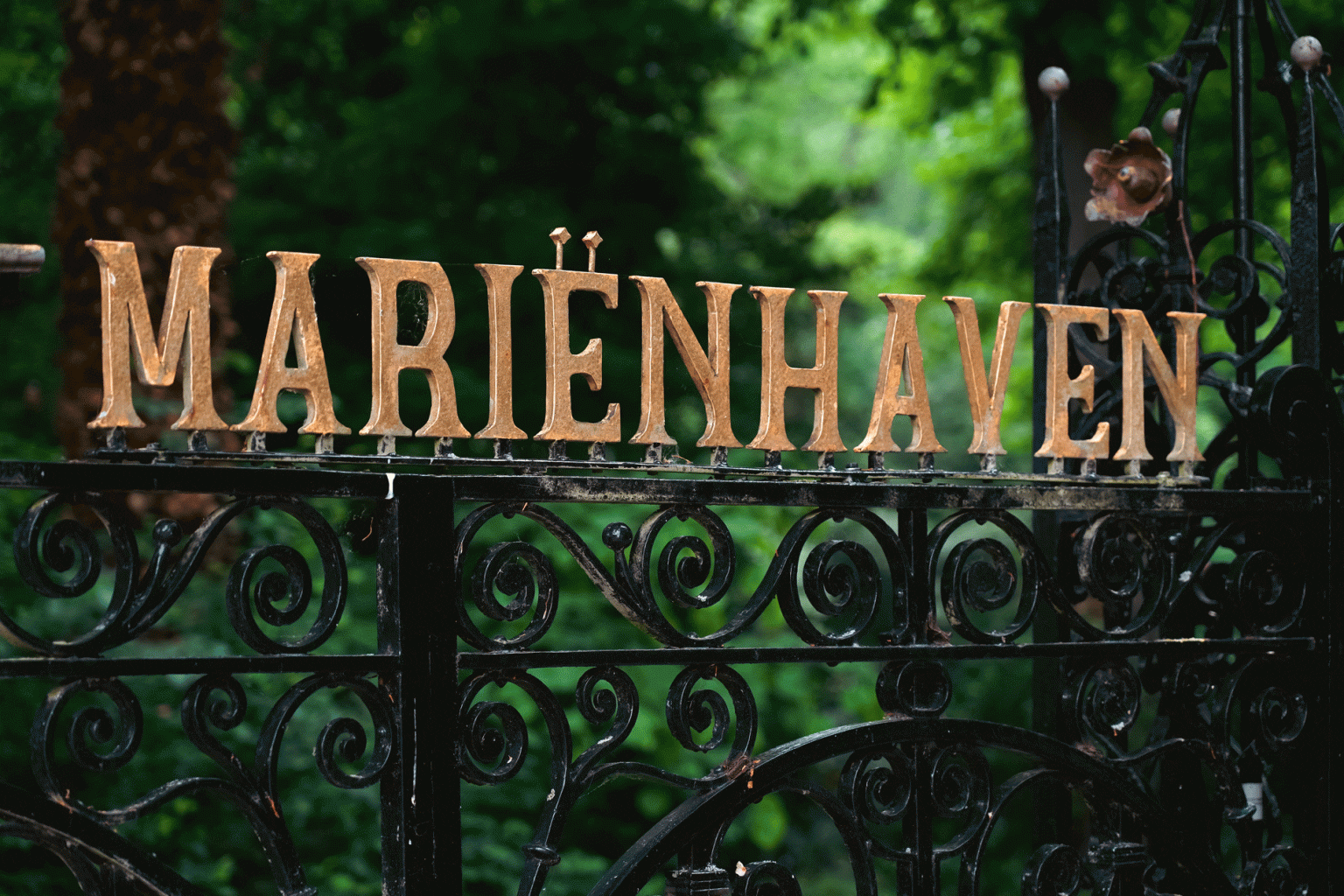 Woonzorglocatie Mariënhaven