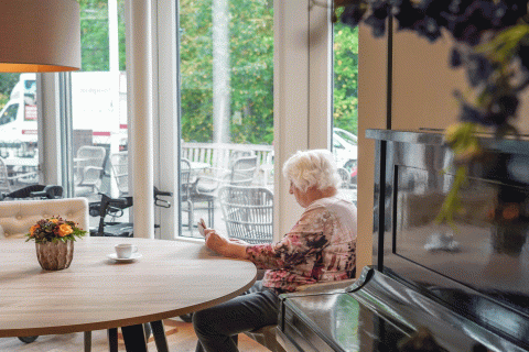 Woonzorglocatie Boarnsterhim State