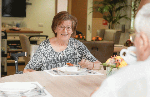 Woonzorglocatie Boarnsterhim State