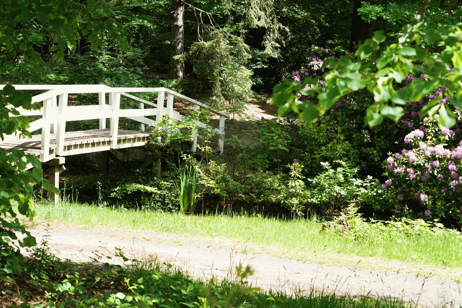 Woonzorglocatie Villa Pavia tuin