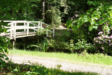 Woonzorglocatie Villa Pavia tuin