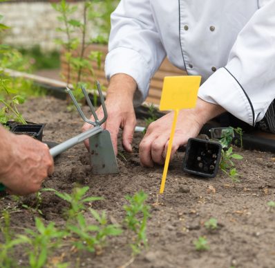 Duurzaam eten in het restaurant van De Boschstede